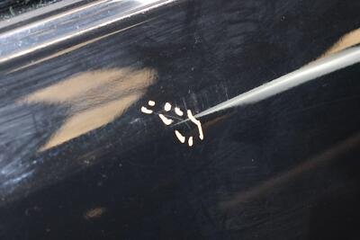 2013-2019 LEXUS GS350 Rear Door Left Driver Side OEM - Image 11