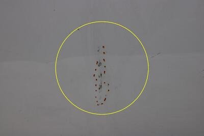 2017-2019 Alfa Romero GIULIA Front Door Left Driver Side OEM - Image 9