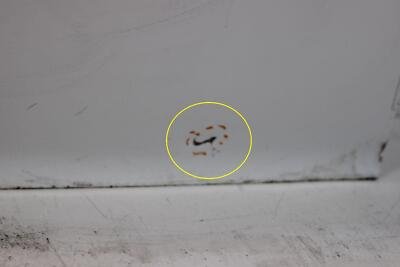 2017-2019 Alfa Romero GIULIA Front Door Left Driver Side OEM - Image 10