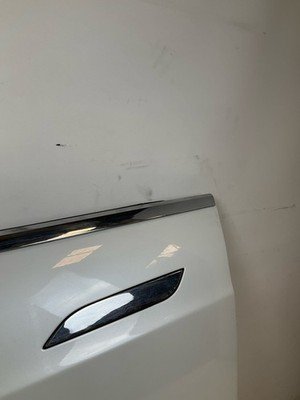 2014-2018 TESLA S Front Door Left Driver Side OEM - Image 3