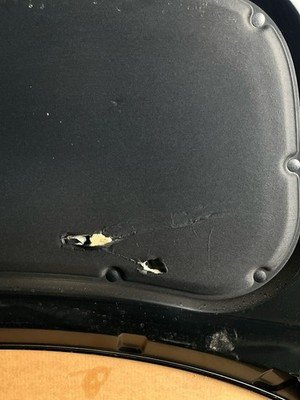 2020-2025 HYUNDAI PALISADE Front Hood Original Hyundai Part Black OEM - Image 17