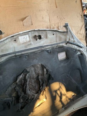 2002-2006 TOYOTA CAMRY Hood Bonnet Shell Original Toyota Part OEM - Image 12