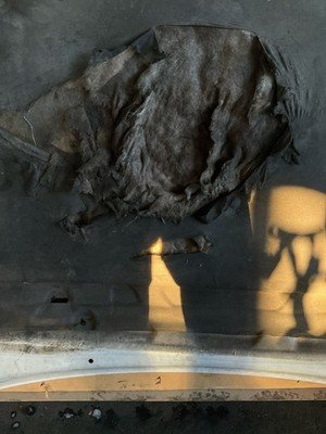 2002-2006 TOYOTA CAMRY Hood Bonnet Shell Original Toyota Part OEM - Image 15